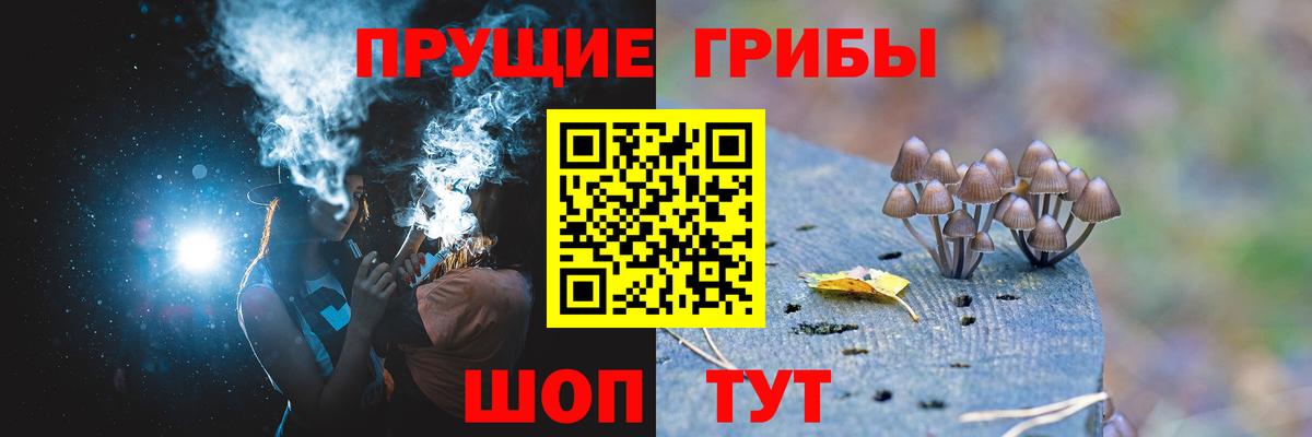 Псилоцибиновые грибы ЛСД  цена наркотик  Гусев  Вход с VPN 